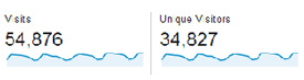 Mobile Site Visits