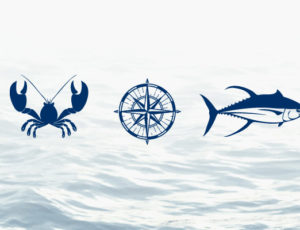 The Mooring House website redesign icons